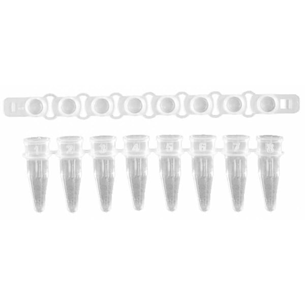 Scientific Specialties UltraFlux Low Profile PCR Tubes, White Tube w/Clear Cap, 125 Strips of 8 Tubes/PK 145570 - main